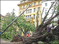 Cây bị đổ tại Rangoon