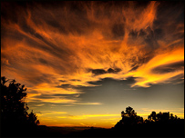 دتصويرشاليد