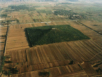 The Tomb of China's First Emperor