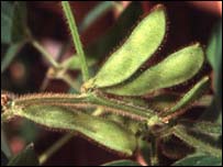 Economist pergunta por que crescimento do Brasil fica atrás da Argentina