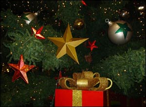 عکس از مريم