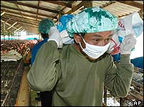 مرغداری در تايلند