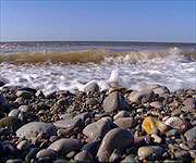A selection of many of the pebbles found along this coastline 