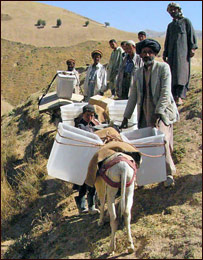 د رای ورکولو مرکزونه