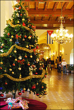 Árbol de navidad. (Foto: Raquel Pérez)