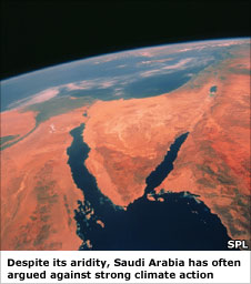 Red Sea region from space