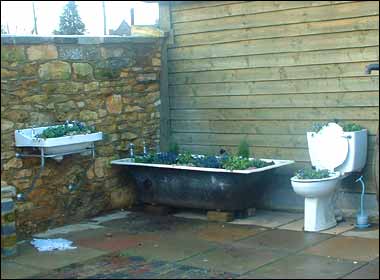Flowers growing in a bathroom suite 