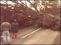 A tree blocks a road in Charsfield