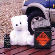 The bear on the beach