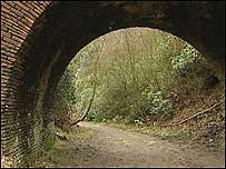 Tunnel and trees