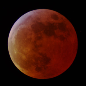 Lunar eclipse by Martin Griffiths