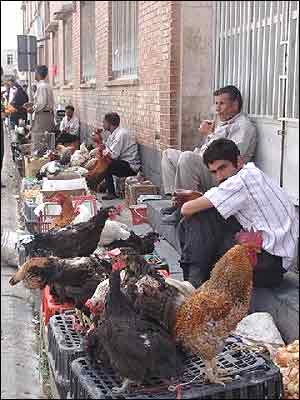 محمد نيک عهد