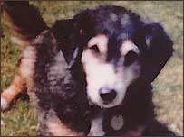 He's a bit blurred, but say hello to Curly.