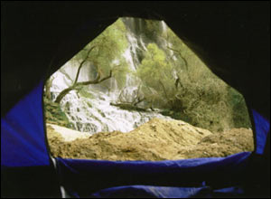 عکس از مصطفی داوری