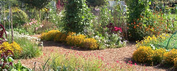 veg beds and growing flowers