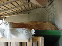 Recolta românească de grâu din acest ar fi de 3,5 milioane de tone, faţă de 5,2 cât a fost anul trecut