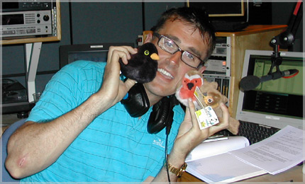 Corn Marigold (chrysanthemum segetum) 