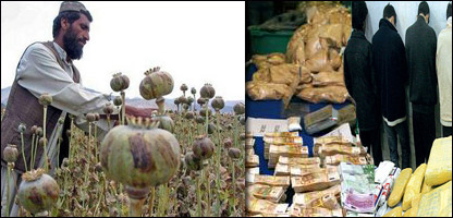 د نشه يي توکوقاچاق