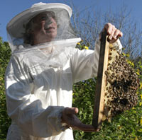 Carol's husband Neil with the newly arrived honey bees