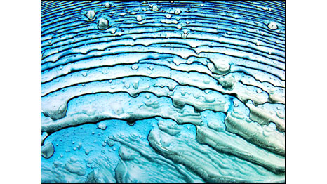 Azul-de-toluidina em uma placa de Petri (Foto: Tracy Anderson/CBS Imaging Center, University of Minnesota/Cortesia Nikon Small World)