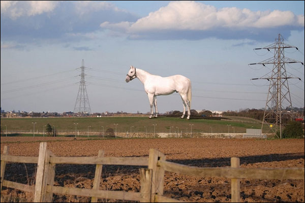 巨型白马