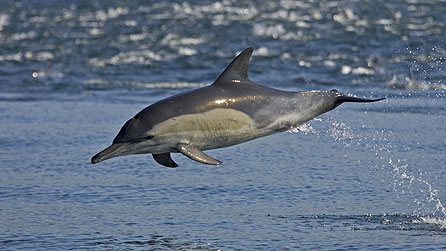 Nature's Great Events