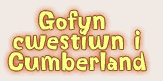 Gofyn cwestiwn i Cumberland