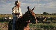 Cattle rancher in Mato Grosso state, Brazil (Fernando Cavalcanti)