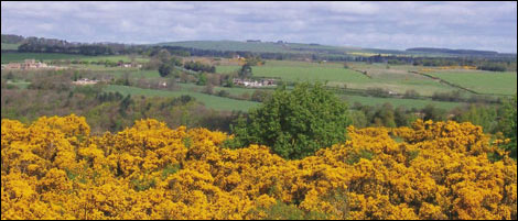 Fields in Consett. By John Dickinson