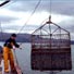 Mussel Fishing Boat on Carlingford Lough