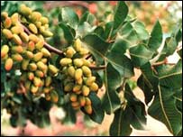  پستې په څانگه کې