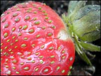A strawberry