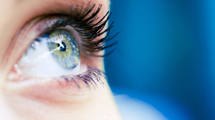 Complexity and wonder