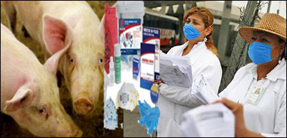 انفلونزای خوکی