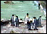 Webcam image of the penguins at Birdland in Bourton-on-the-Water