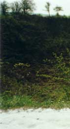 Lochnagar Crater today