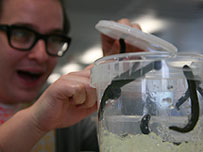 Ed the researcher and leeches