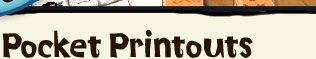 Pocket Printout