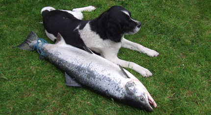 Patsy McHugh's record-breaking salmon, with dog.