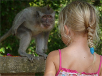 Tehya meets a monkey