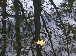 عکس از بامشاد هوشيانی