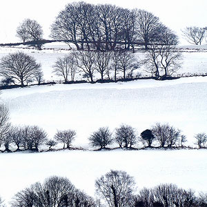 Fields of snow by Dr Murray.