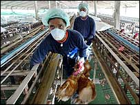 ژاپن، تايوان، کره جنوبی و ويتنام در حال شناسايی موارد ابتلا به اين بيماری هستند 