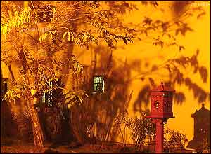 عکس از مهدی آیت