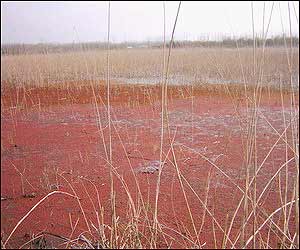 عکس از هادی ابراهيمی