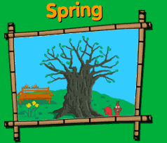 Spring deciduous tree