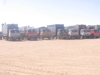 هلمندکې کوکنارو پر ضدکمپاين