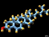 Estrutura molecular do colesterol