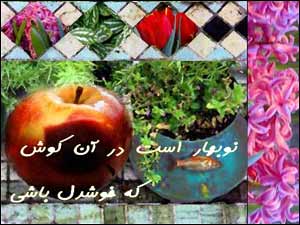 محمدحسين امينيان