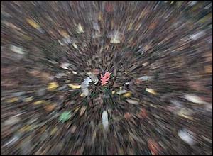 عکس از بامشاد هوشيانی